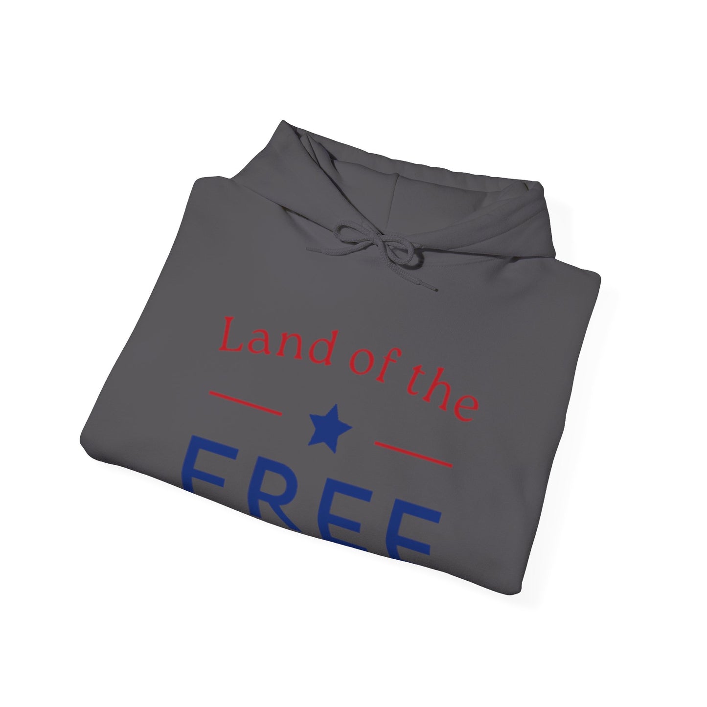 Land of the Free Hoodie