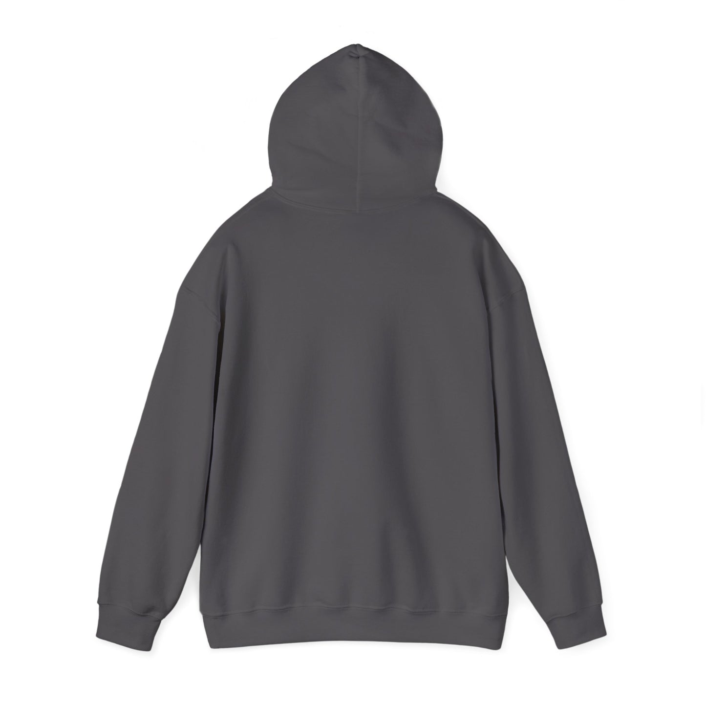 Land of the Free Hoodie
