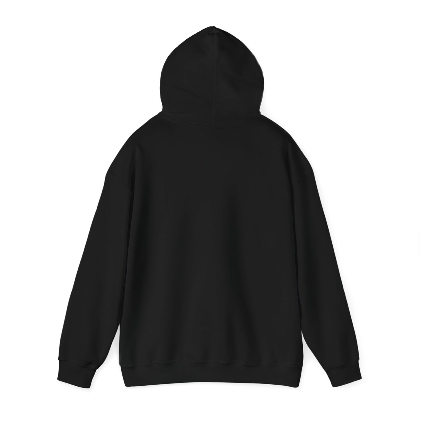 Land of the Free Hoodie